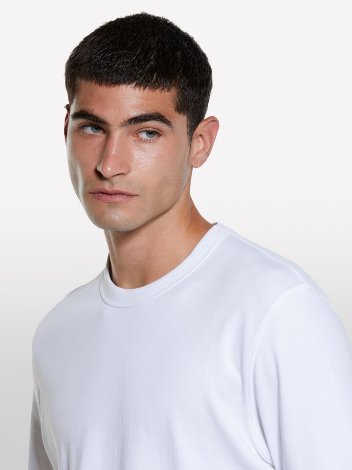 White regular fit t-shirt - men's short sleeve t-shirts - White | Sisley image number 4